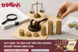 Quy định tài sản góp vốn vào doanh nghiệp trong năm 2026缩略图