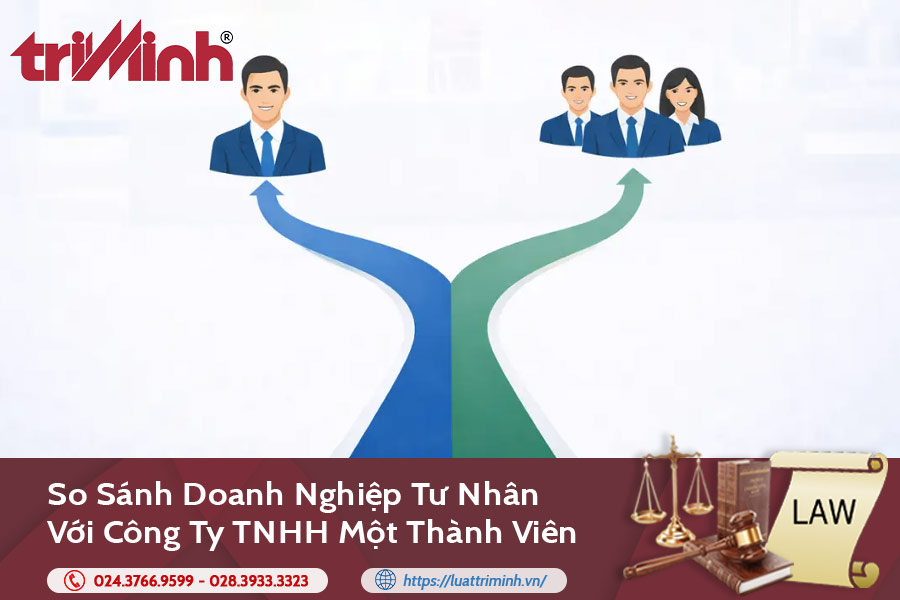 So sánh doanh nghiệp tư nhân với công ty TNHH một thành viên缩略图