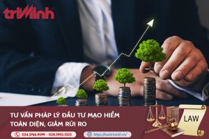 Tư vấn pháp lý đầu tư mạo hiểm缩略图
