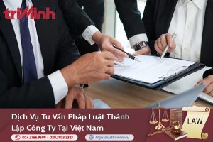 Tư vấn pháp luật thành lập công ty tại Việt Nam缩略图