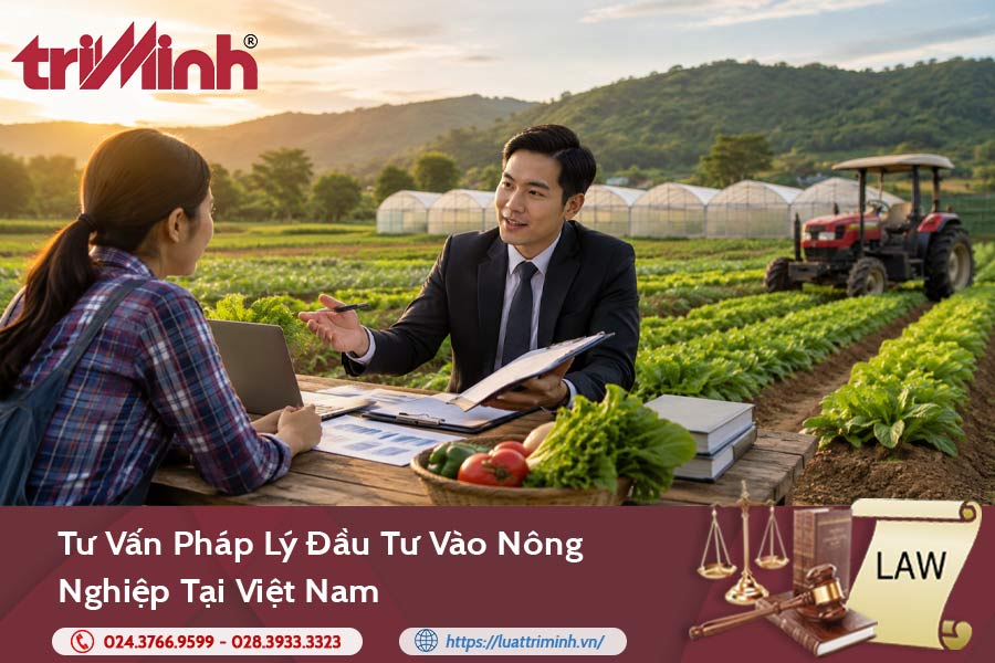 Tư vấn pháp lý đầu tư vào nông nghiệp tại Việt Nam缩略图 Tư vấn pháp lý đầu tư vào nông nghiệp tại Việt Nam缩略图