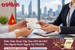 Cơ chế, thủ tục và điều kiện được cấp Visa UĐ1 và UĐ2 cho người nước ngoài tại TP.HCM缩略图