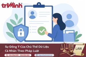 Sự đồng ý của chủ thể dữ liệu cá nhân theo pháp luật hiện hành缩略图
