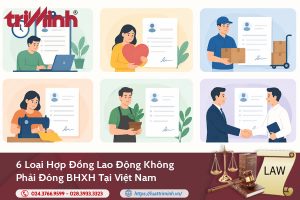 6 loại hợp đồng lao động không phải đóng BHXH tại Việt Nam缩略图